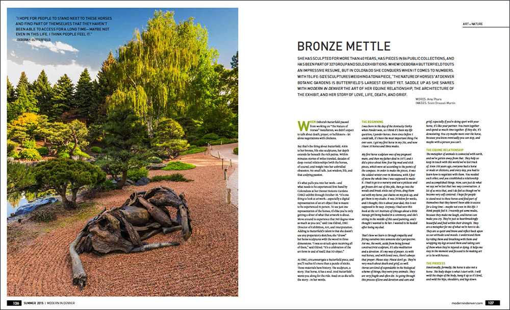 Bronze Mettle